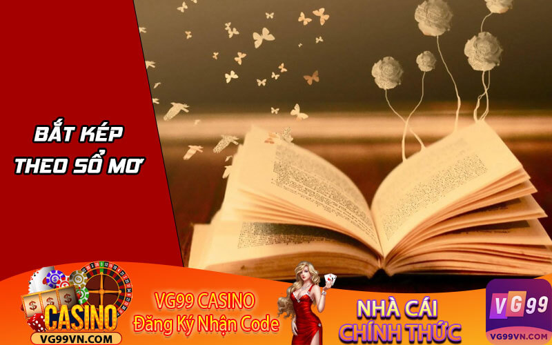 Bắt kép theo sổ mơ