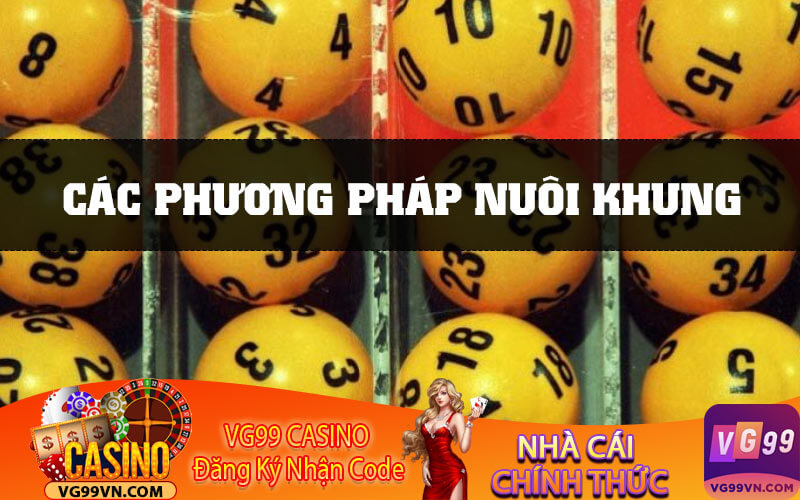 Các phương pháp nuôi khung