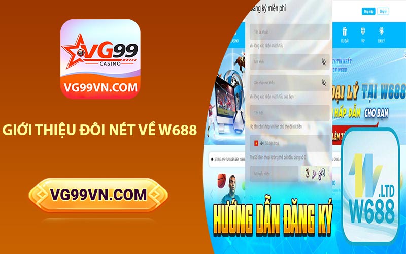 Giới Thiệu Đôi Nét Về W688
